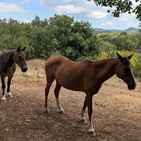 Mas 5 Etoiles Cevennes - 4h30 De Geneve - Calme Absolu Et Nature - Piscine 12m בית נופש *