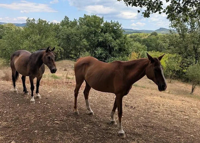 Mas 5 Etoiles Cevennes - 4h30 De Geneve - Calme Absolu Et Nature - Piscine 12m בית נופש *